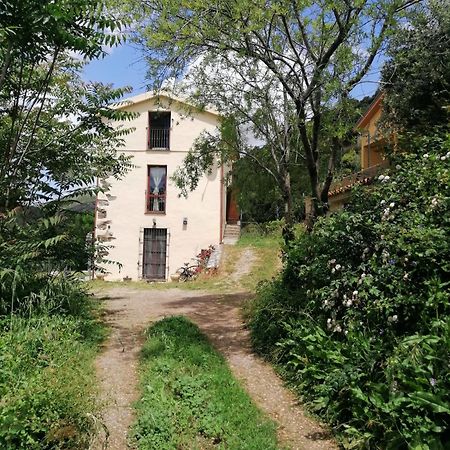 Stellaria Casa Vacanze In Montagna Panorama Stupendo Sardegna Seùlo Exteriör bild