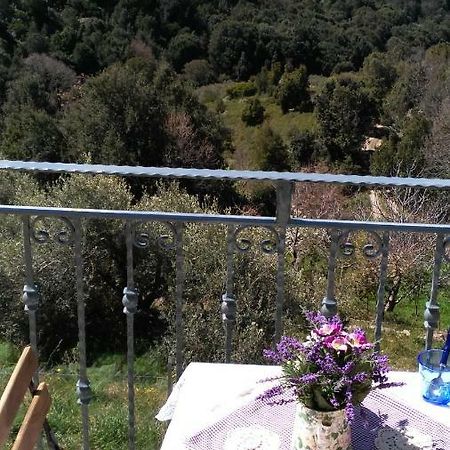 Stellaria Casa Vacanze In Montagna Panorama Stupendo Sardegna Seùlo Exteriör bild