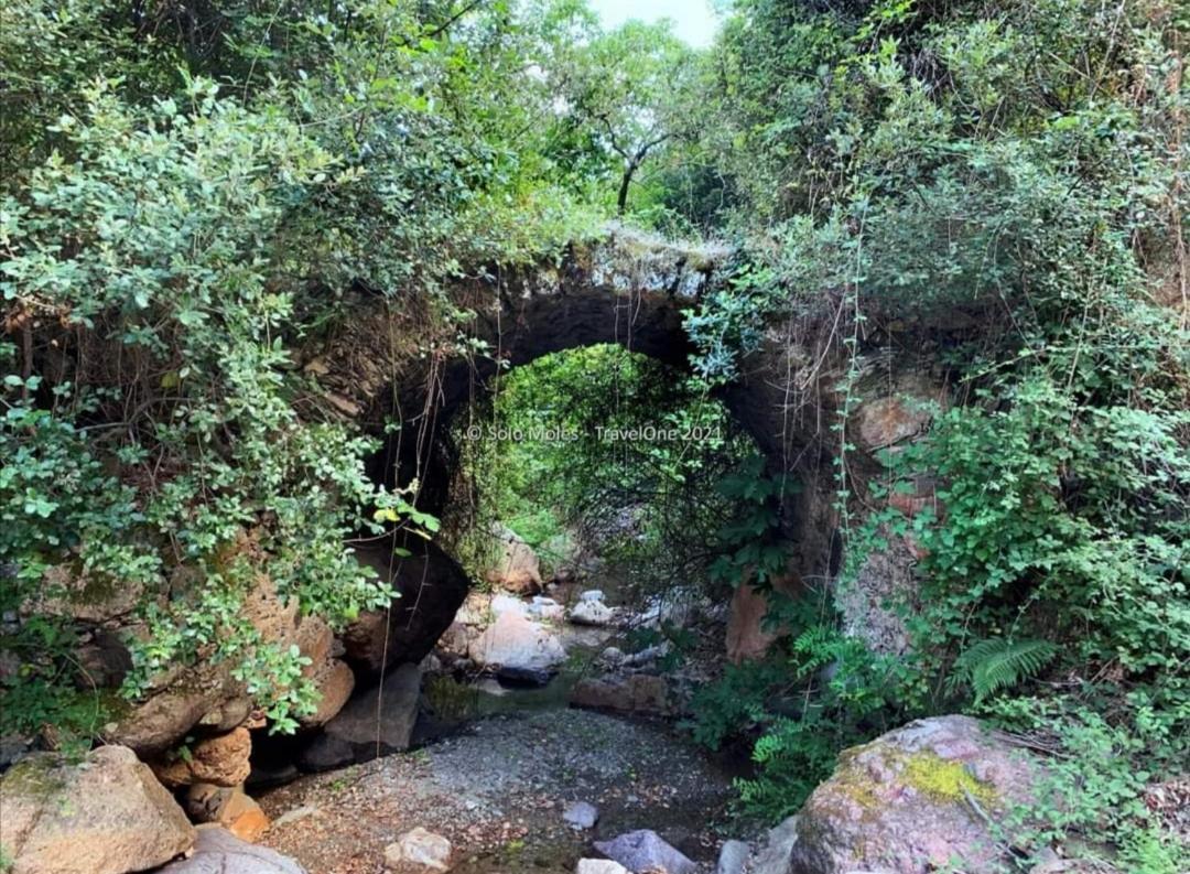 Stellaria Casa Vacanze In Montagna Panorama Stupendo Sardegna Seùlo Exteriör bild