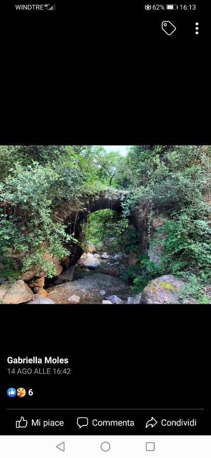 Stellaria Casa Vacanze In Montagna Panorama Stupendo Sardegna Seùlo Exteriör bild