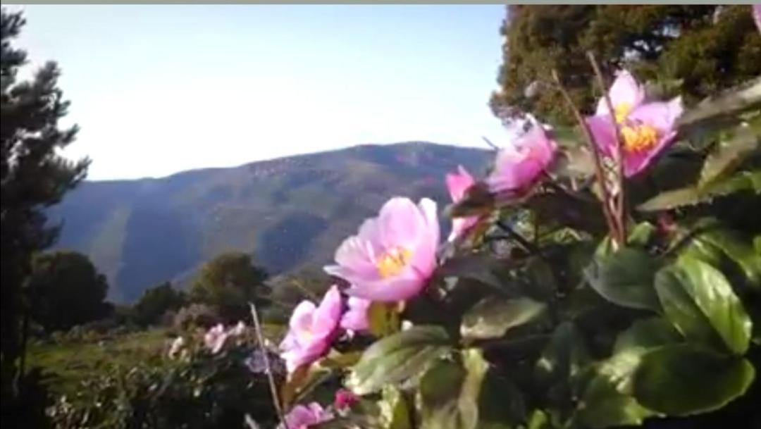 Stellaria Casa Vacanze In Montagna Panorama Stupendo Sardegna Seùlo Exteriör bild