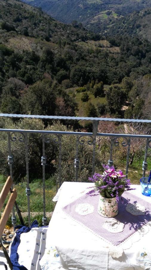 Stellaria Casa Vacanze In Montagna Panorama Stupendo Sardegna Seùlo Exteriör bild