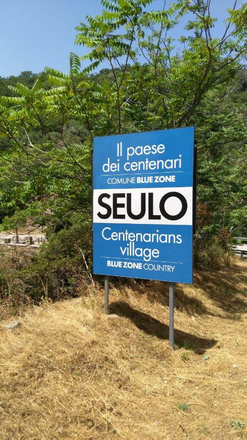 Stellaria Casa Vacanze In Montagna Panorama Stupendo Sardegna Seùlo Exteriör bild