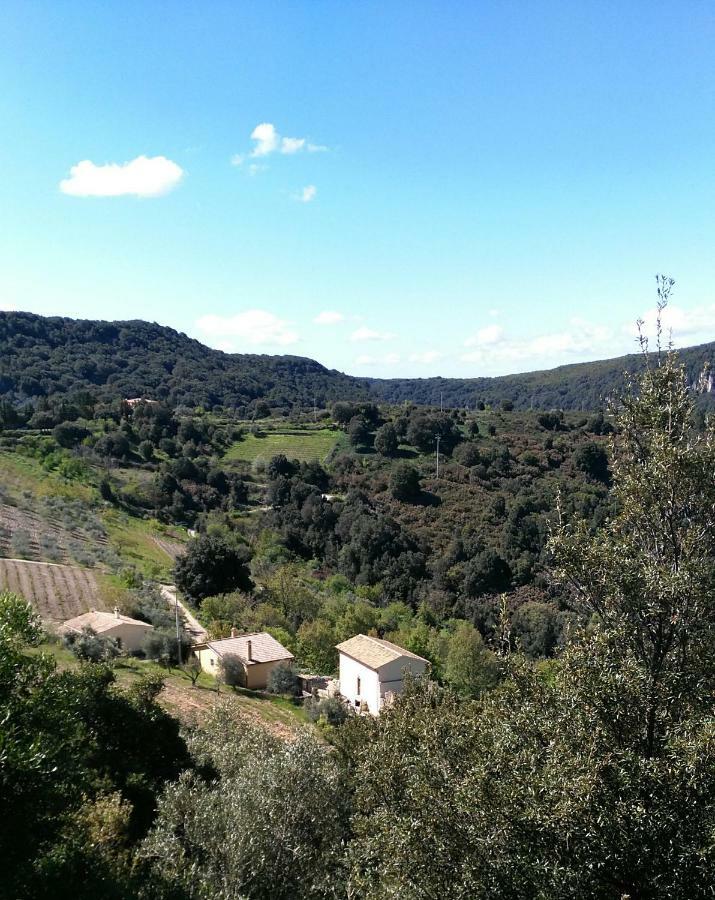 Stellaria Casa Vacanze In Montagna Panorama Stupendo Sardegna Seùlo Exteriör bild