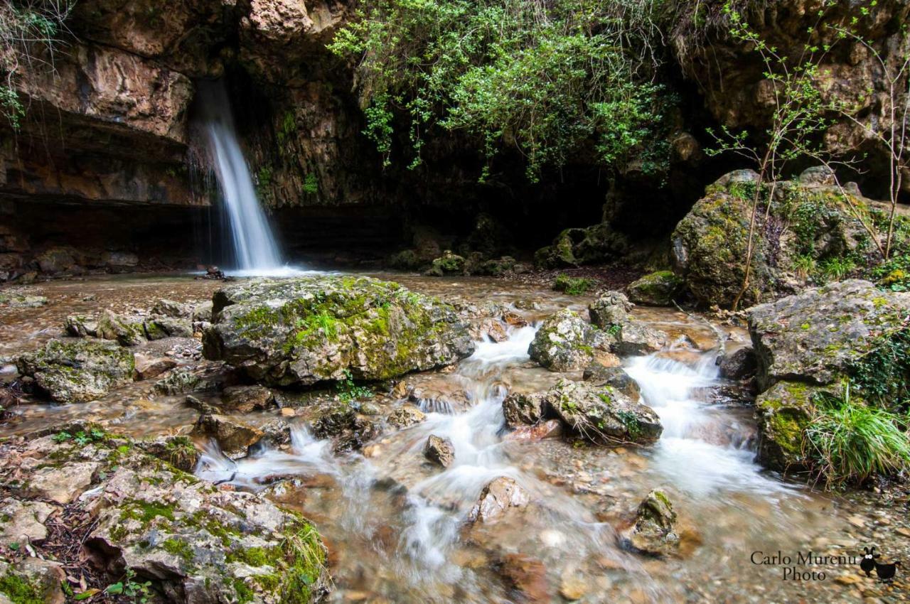 Stellaria Casa Vacanze In Montagna Panorama Stupendo Sardegna Seùlo Exteriör bild