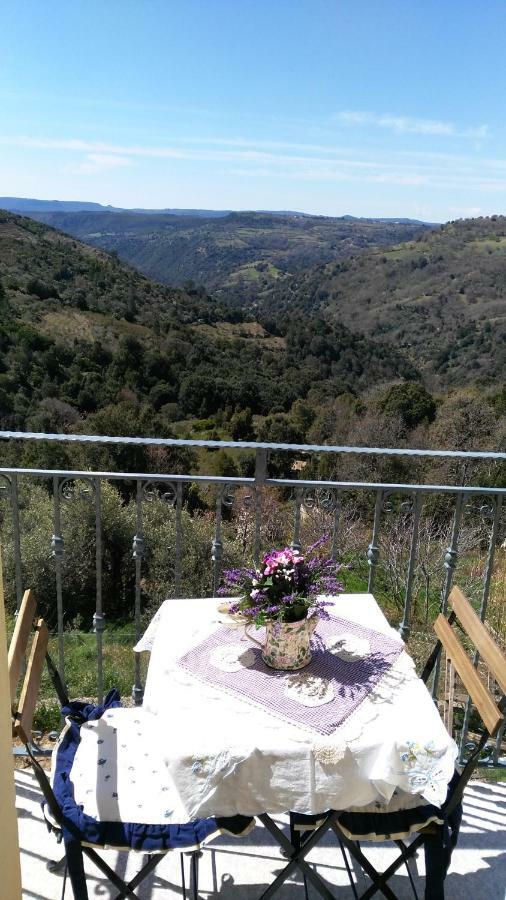 Stellaria Casa Vacanze In Montagna Panorama Stupendo Sardegna Seùlo Exteriör bild