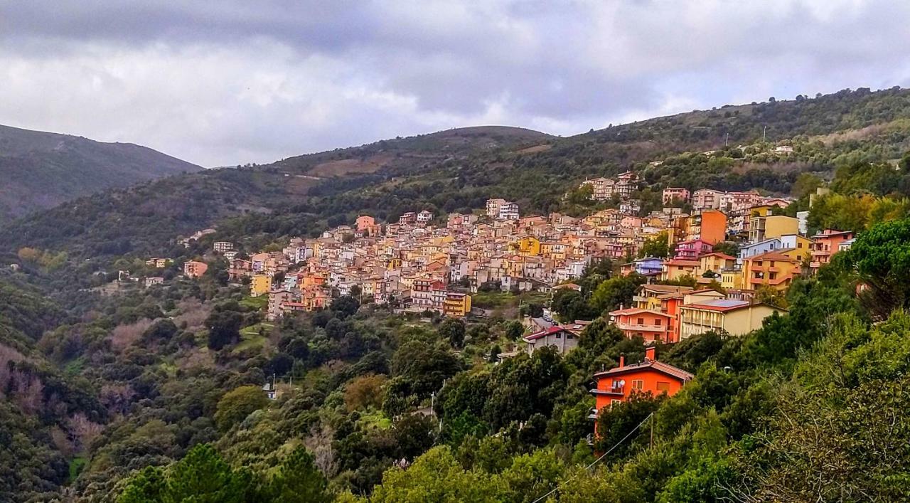 Stellaria Casa Vacanze In Montagna Panorama Stupendo Sardegna Seùlo Exteriör bild